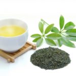 緑茶エキスとは